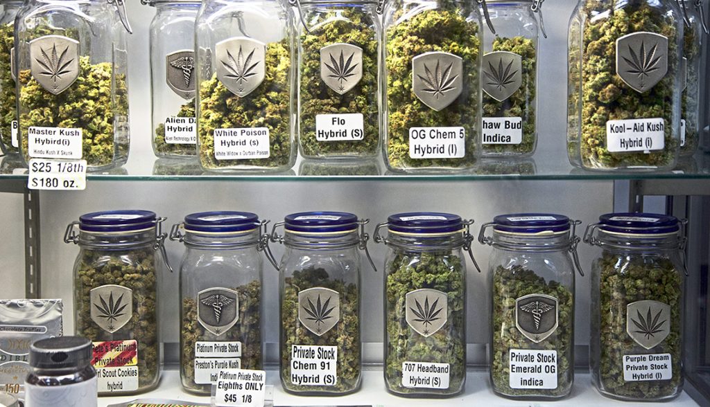 How to store marijuana buds